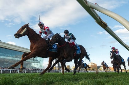 Memsie Stakes 2025 Betting Odds - Antino & Mr Brightside share favouritism