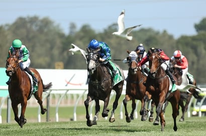 The Metropolitan 2025 Betting Odds - Gilded Water shades Alalcance & Half Yours