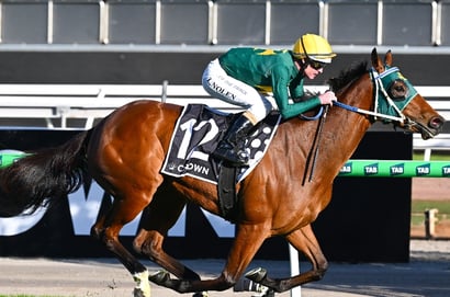 Might And Power Stakes 2026 Betting Odds - Short Favourite Steps Into New Territory
