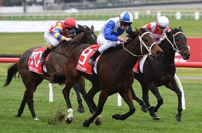 Mildura Betting Tips