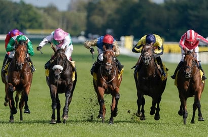 Mill Reef Stakes newbury
