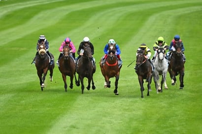 Moe Racing Tips for September 8 – $81 pop worth thought in Race 4 as King set to rule in Race 7