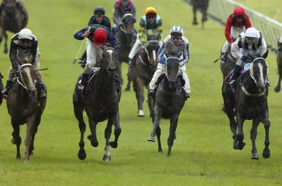 Moephettville Parks Tips for 01.02.2025