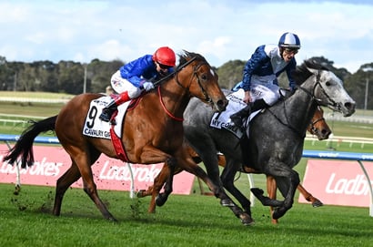 Moir Stakes Day 2026 - Photo Gallery From Sandown Hillside
