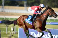 Moir Stakes Odds