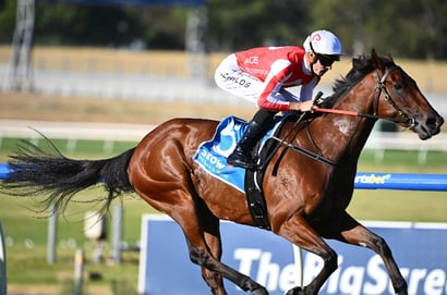 Moir Stakes 2025 Betting Odds - Niance & Giga Kick lead a competitive market