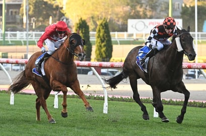 Moir Stakes 2025 - Barrier Draw & Final Field