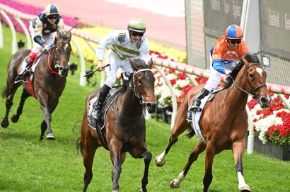 Moir Tips