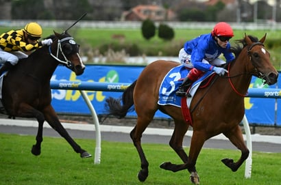 Moir Stakes 2026 - Barrier Draw & Final Field