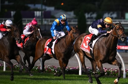 Moonee Valley Betting Tips for February 7, 2025 - Oak Hill can impress again