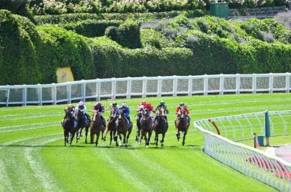 Moonee Valley Betting Tips for August 9, 2025 - Fresh Esha to impress again