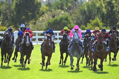 Mornington Tips for 05.09.2025