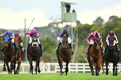 Mornington Tips for 19.04.2025