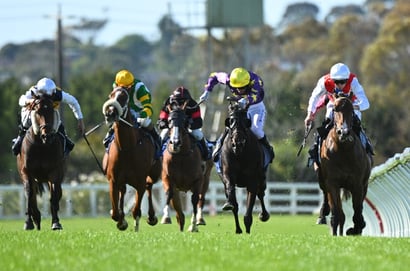Mornington tips for 04.09.2026