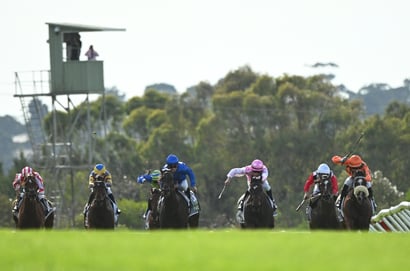 Mornington tips for 17.12.2025