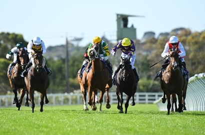 Mornington tips for 18.04.2026