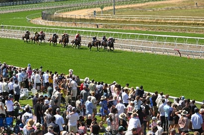 Mornington tips for 21.01.2026