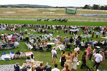 Mornington tips for 23/10