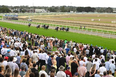 Mornington tips for 27/11