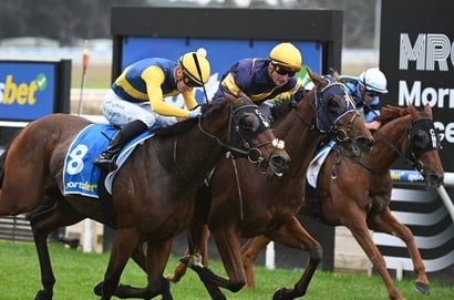 Mornington tips for 28.09.2025