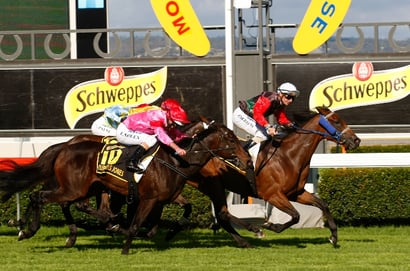 Morphettville Horse Racing