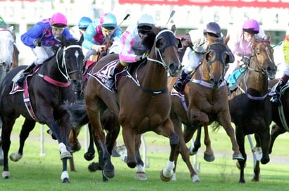 Morphettville Horse Racing