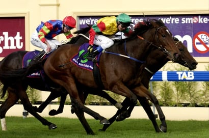 Morphettville Horse Racing