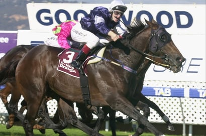 Morphettville Horse Racing