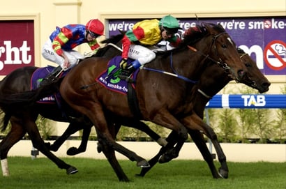Morphettville Horse Racing