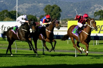 Morphettville Horse Racing