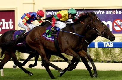 Morphettville Horse Racing