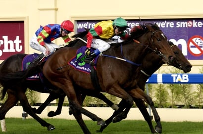 Morphettville Horse Racing