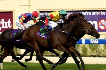 Morphettville Horse Racing