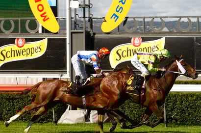 Morphettville Horse Racing