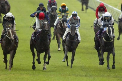 Morphettville Horse Racing