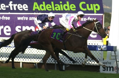 Morphettville Horse Racing