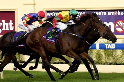 Morphettville Horse Racing