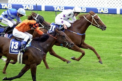 Morphettville Horse Racing