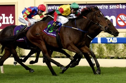 Morphettville Racing Tips for August 8 - Jandami is set for the hat-trick