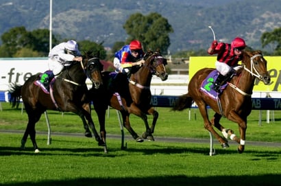 Morphettville Horse Racing