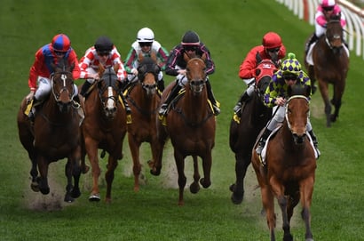 Morphettville Parks tips - 06/12