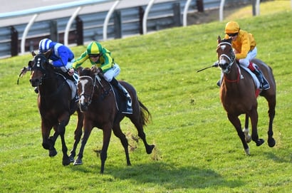Morphettville Parks tips for 06.09.2025