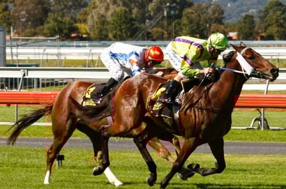 Morphettville Parks tips for 15.02.2025