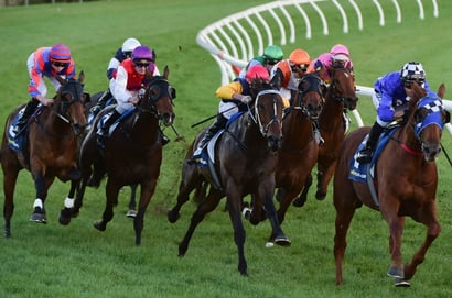 Morphettville Parks tips for 20.09.2025