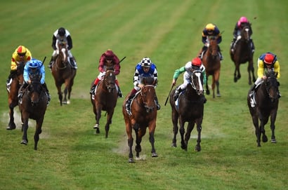 Morphettville Parks tips for 21.03.2026