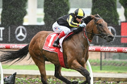 Morphettville Parks tips for 28.06.2025