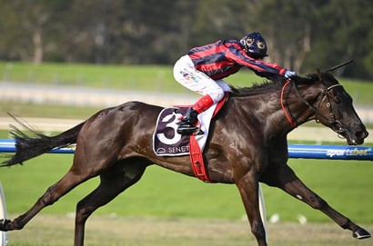 Morphettville Tips for 03.05.2025