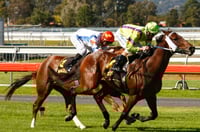 Morphettville Tips for 06.08.2025