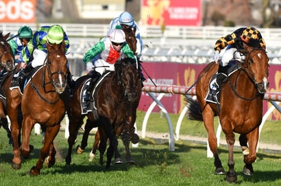 Morphettville Betting Tips for August 9, 2025 - Best Bets for Behemoth Stakes Day