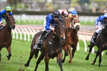 Morphettville Tips for 12.04.2025